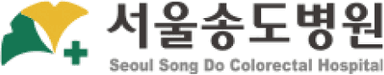서울송도병원