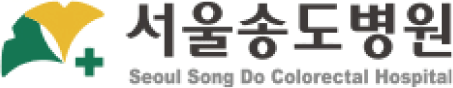 서울송도병원